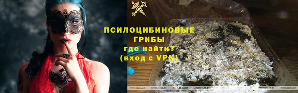 метадон Дмитриев