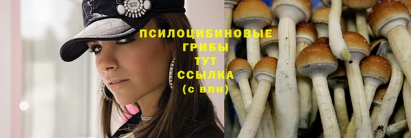 метадон Дмитриев