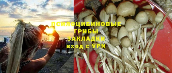метадон Дмитриев