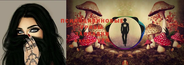 метадон Дмитриев